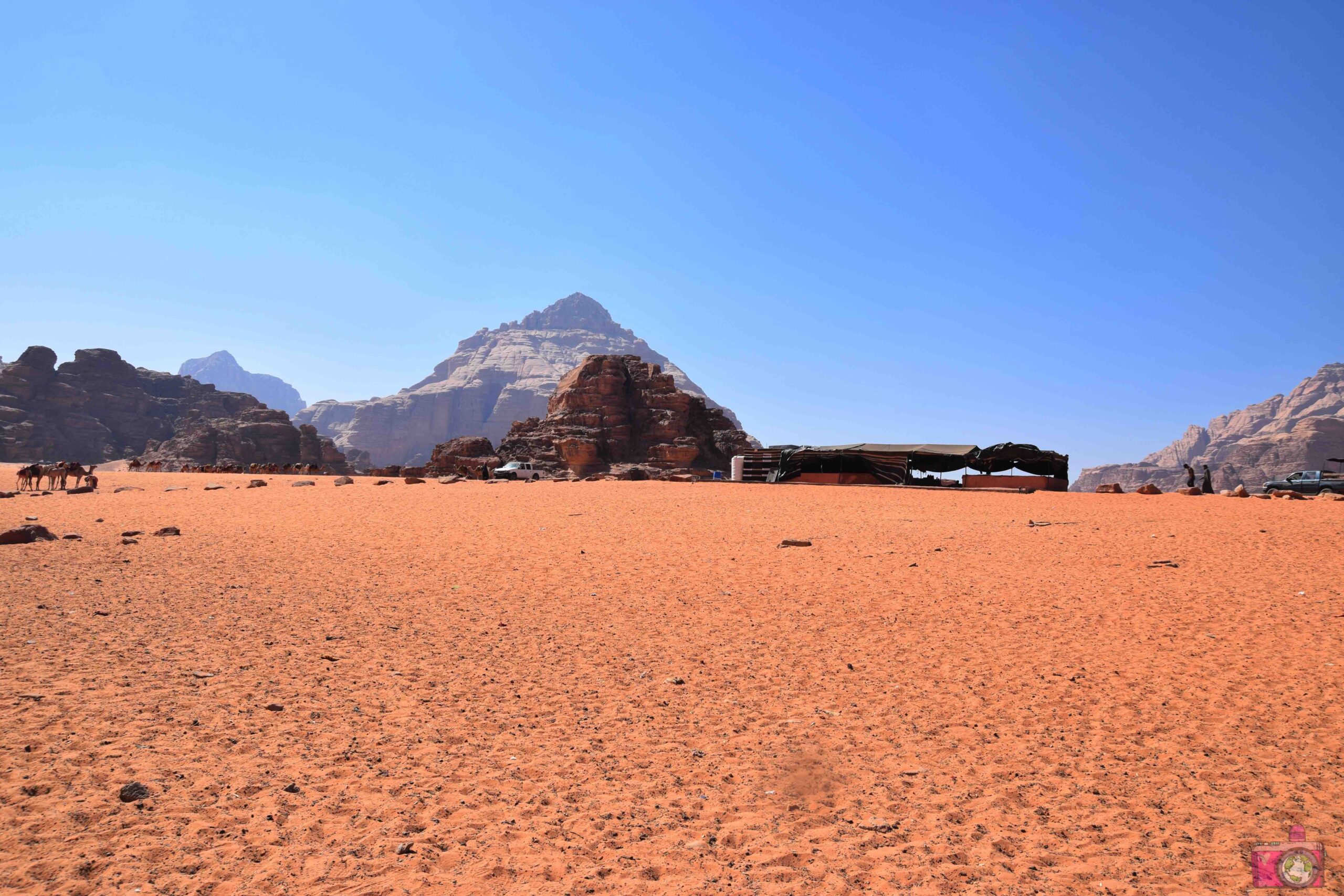 The con beduini Wadi Rum