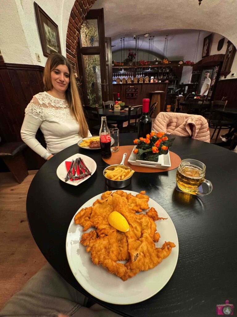 Dove mangiare a Vienna Beim Hofmeister